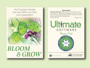 #W3001-1 Imprinted Moneyplant Standard Size Seed Packet