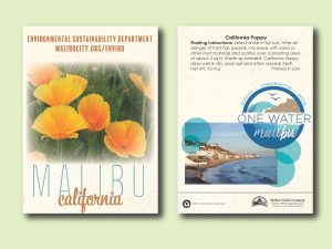 #W3014-1 Imprinted California Poppy Standard Size Seed Packet
