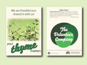 #W3020-1 Imprinted Winter Thyme Herb Standard Size Seed Packet
