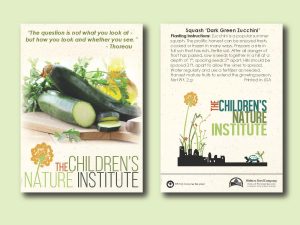 #W3067-1 Imprinted Squash 'Dark Green Zucchini' Standard Size Seed Packet