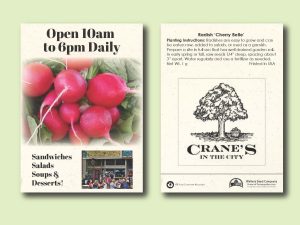 #W3080-1 Imprinted Radish 'Cherry Belle' Standard Size Seed Packet