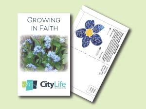 #3P03-1 Imprinted Forget-Me-Not Flower Postcard Size Seed Packet