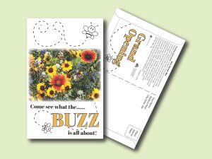 #W3P10-1 Imprinted Bee Feed Mixture Postcard Size Seed Packet
