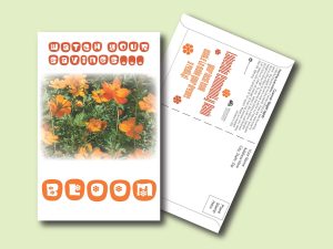 #W3P15-1 Imprinted Cosmos 'Bright Lights' Postcard Size Seed Packet