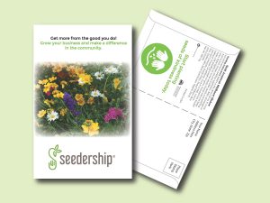 #W3P19-1 Imprinted 11 Variety Wildflower Mix Postcard Size Seed Packet