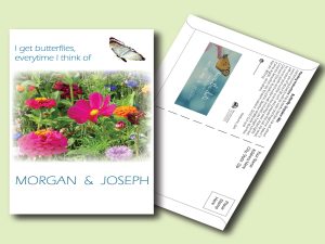 #W3P29-1 Imprinted Butterfly Mix Postcard Size Seed Packet
