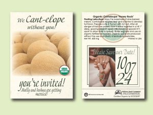 #W8A40-1 Imprinted Organic Cantaloupe 'Hale's Best' Standard Size Packet