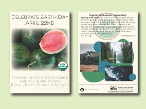 #W8B49-1 Imprinted Organic Watermelon 'Sugar Baby' Standard Size Seed Packet